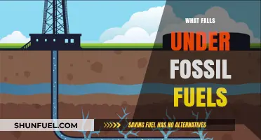 Understanding Fossil Fuels: Coal, Oil, and Natural Gas Explained