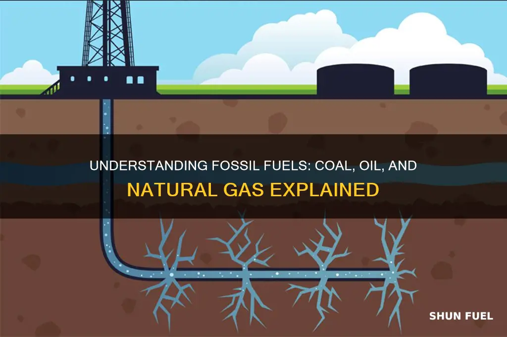 what falls under fossil fuels
