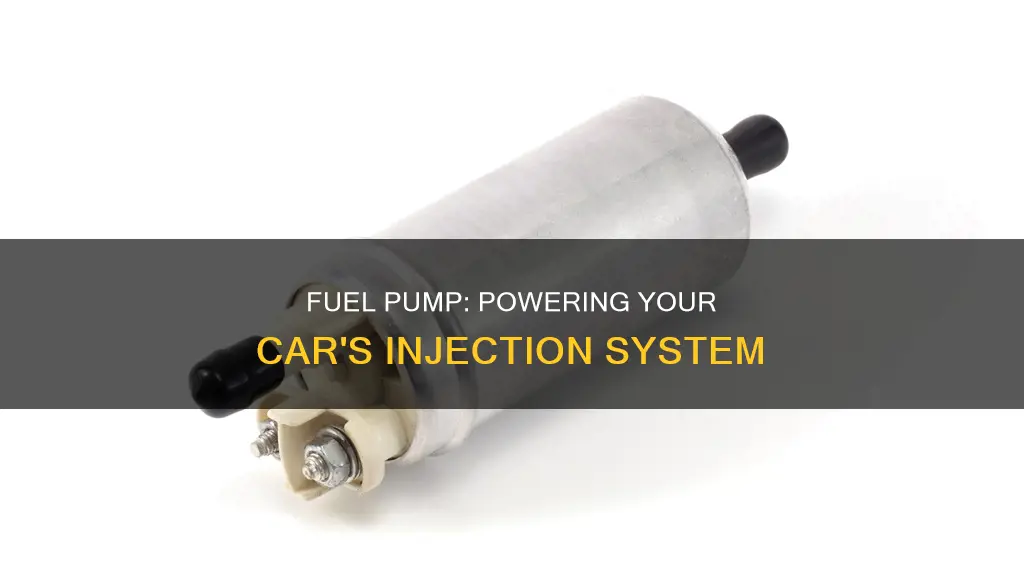 what feeds gas from fuel tank to injection system