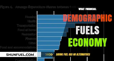 Middle-Class Spending Power: The Financial Demographic Driving Economic Growth