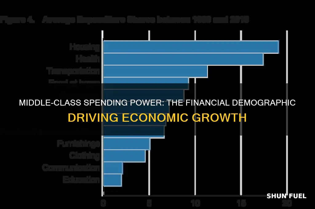 what financial demographic fuels economy