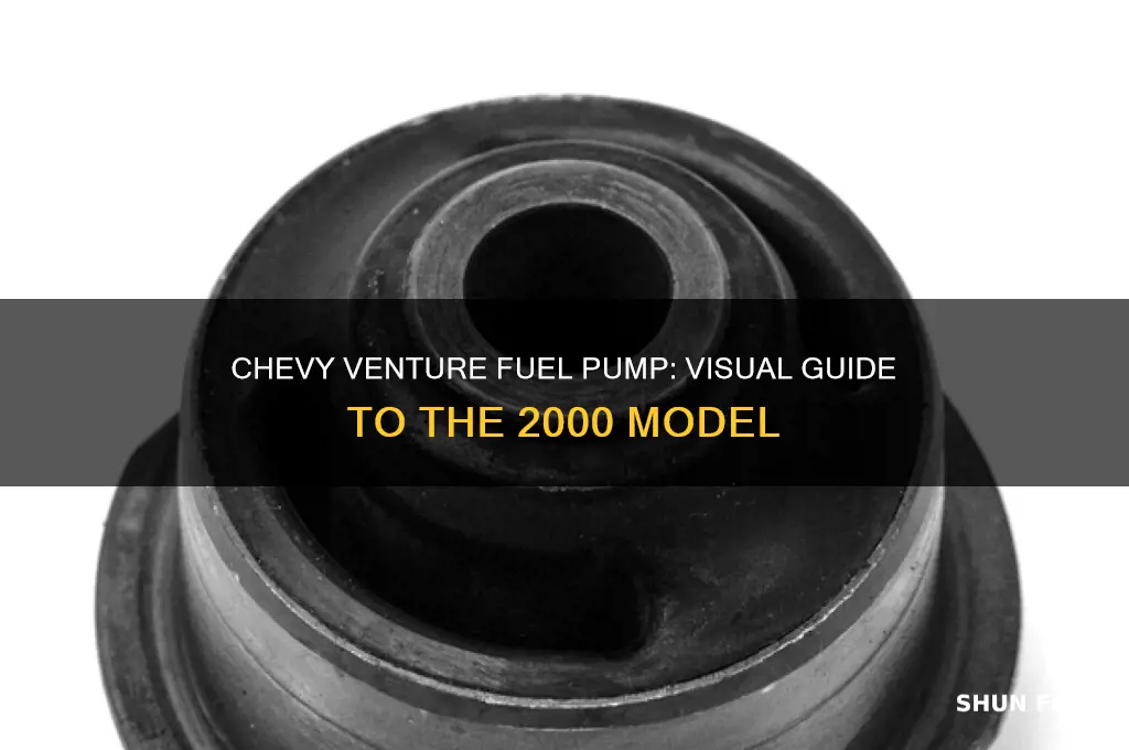 what foes a 2000 chevy venture fuel pump look like