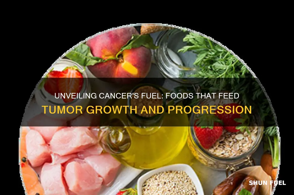 what food fuels cancer cells