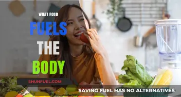 Nutrition Essentials: Foods That Energize and Sustain Your Body
