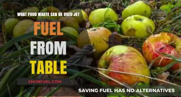 Turning Table Scraps into Jet Fuel: The Future of Food Waste