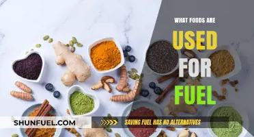 Power Your Body: Discover Foods That Fuel Energy and Performance