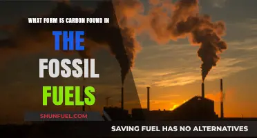 Carbon's Fossil Fuel Forms: Unveiling Coal, Oil, and Natural Gas