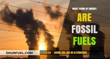 Fossil Fuels: Unveiling Their Energy Source and Environmental Impact