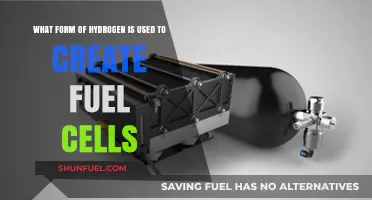 Hydrogen Fuel Cells: Understanding the Key Form for Clean Energy