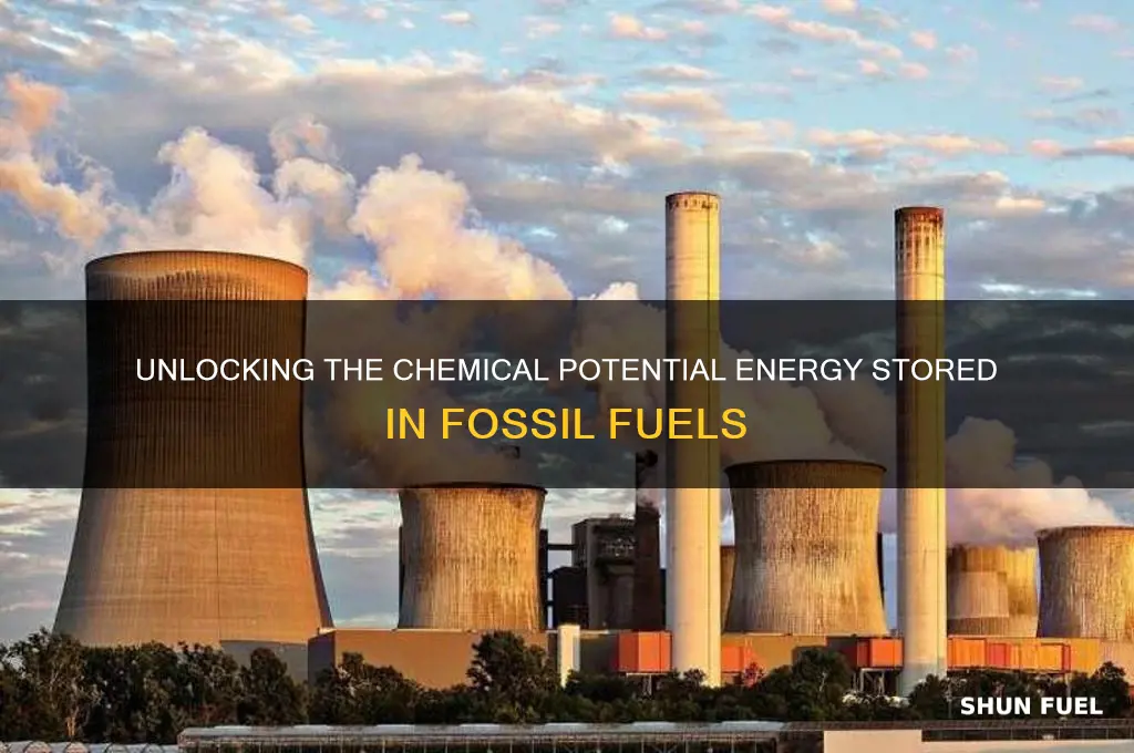 what form of potential energy do fossil fuels contain