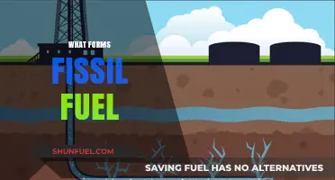 Understanding the Origins: How Fossil Fuels Are Naturally Formed