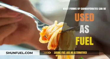 Carbohydrates as Fuel: Optimal Sources for Energy and Performance