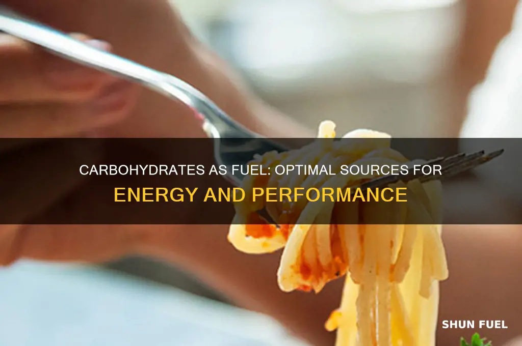 what forms of carbohydrates can be used as fuel