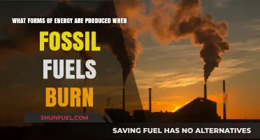 Burning Fossil Fuels: Unveiling the Energy Types Released in Combustion