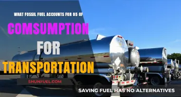 Petroleum Dominates: Fueling 95% of Global Transportation Needs