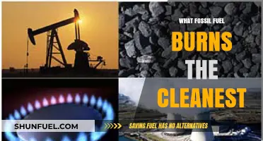 Cleanest Burning Fossil Fuel: Unveiling the Least Polluting Energy Source