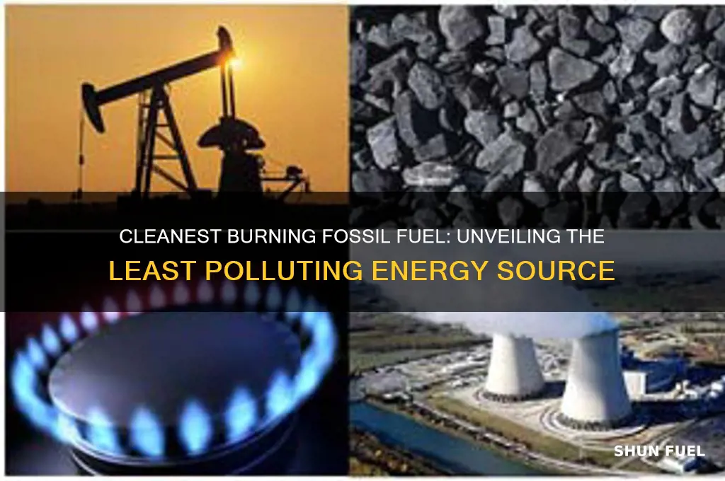 what fossil fuel burns the cleanest
