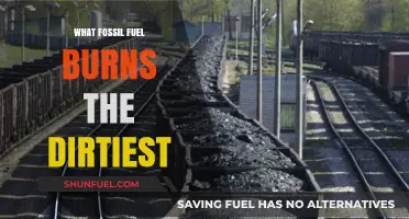 The Dirtiest Fossil Fuel: Uncovering the Worst Polluter in Energy
