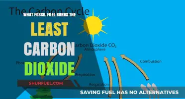 Comparing Fossil Fuels: Which One Produces the Least Carbon Dioxide?