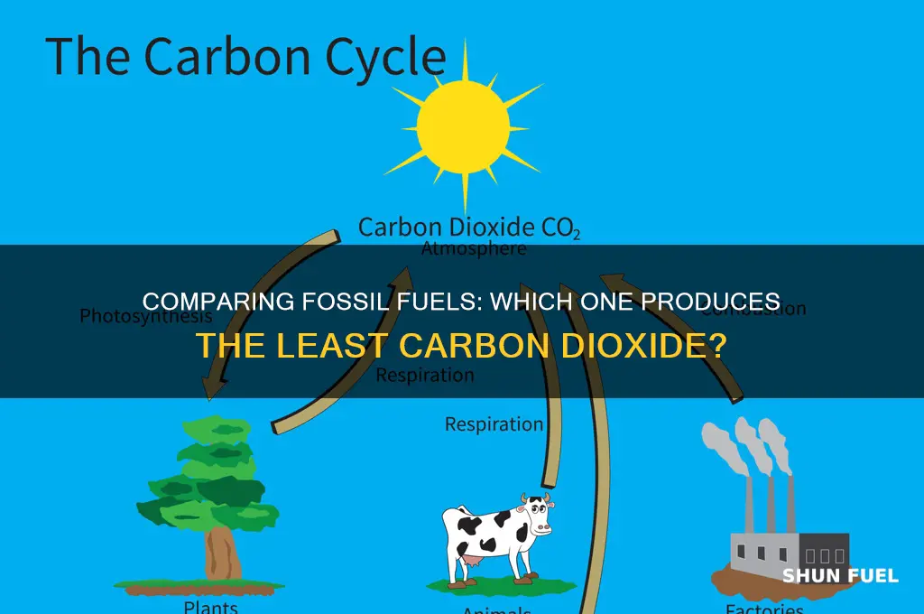 what fossil fuel burns the least carbon dioxide