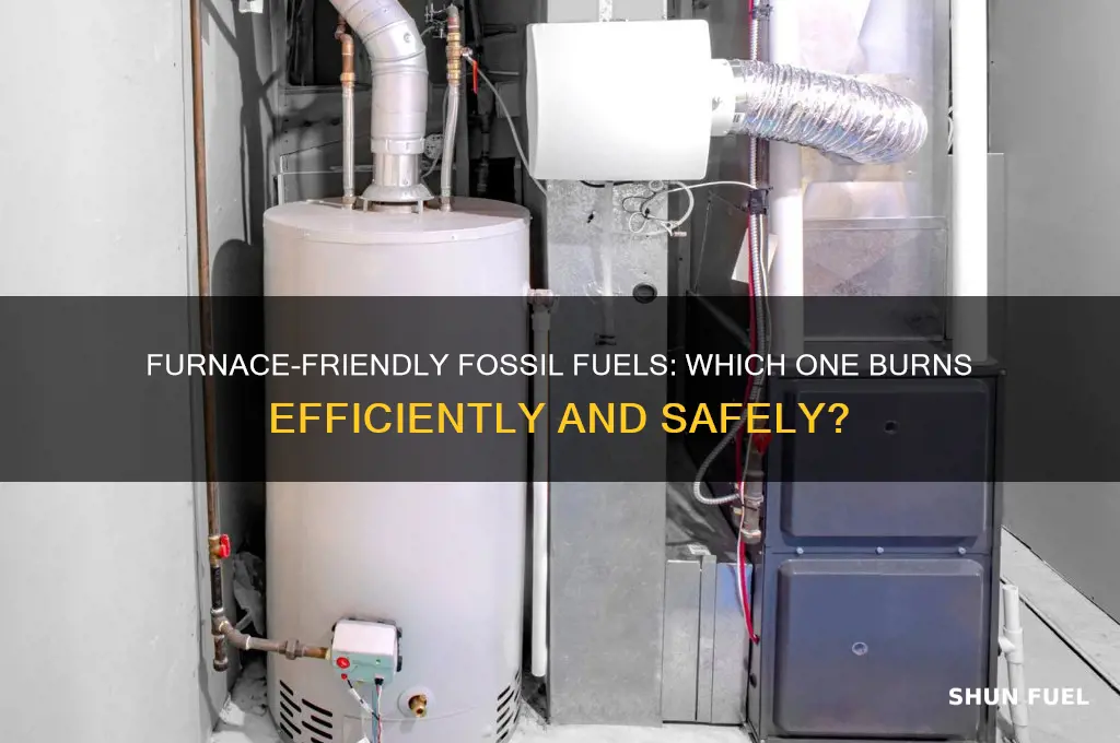 what fossil fuel can be burned in the furnace