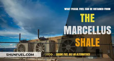 Unlocking Marcellus Shale: Discovering the Hidden Fossil Fuel Treasure