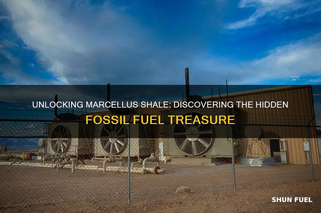 what fossil fuel can be obtained from the marcellus shale