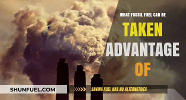 Maximizing Untapped Fossil Fuel Potential: Opportunities and Environmental Considerations