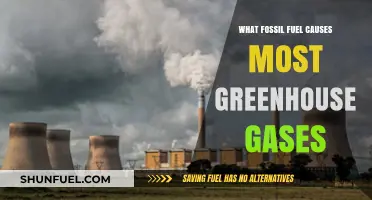 Which Fossil Fuel Emits the Most Greenhouse Gases? Unveiling the Culprit