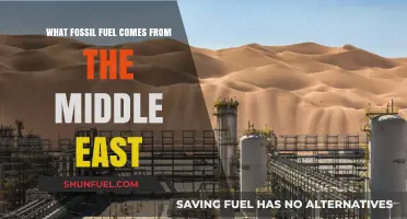 Middle East's Dominant Fossil Fuel: Unveiling the Region's Energy Treasure