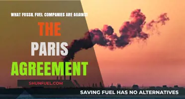 Fossil Fuel Giants Resisting the Paris Climate Accord: Who's Blocking Progress?