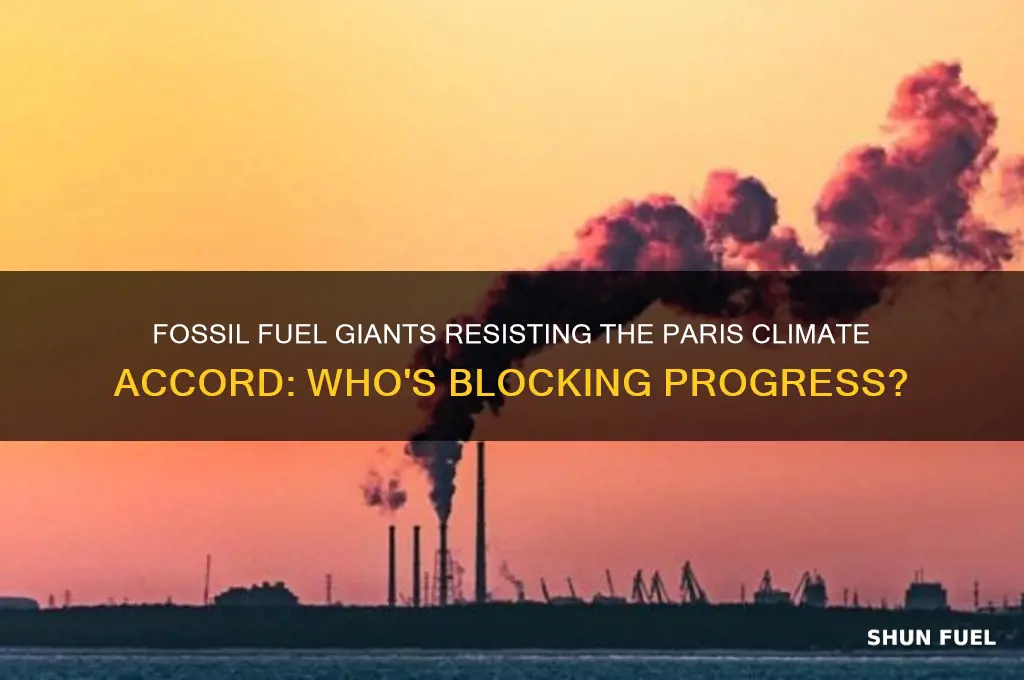 what fossil fuel companies are against the paris agreement