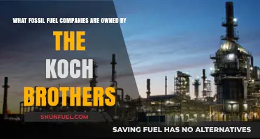 Koch Brothers' Fossil Fuel Empire: Uncovering Their Energy Holdings