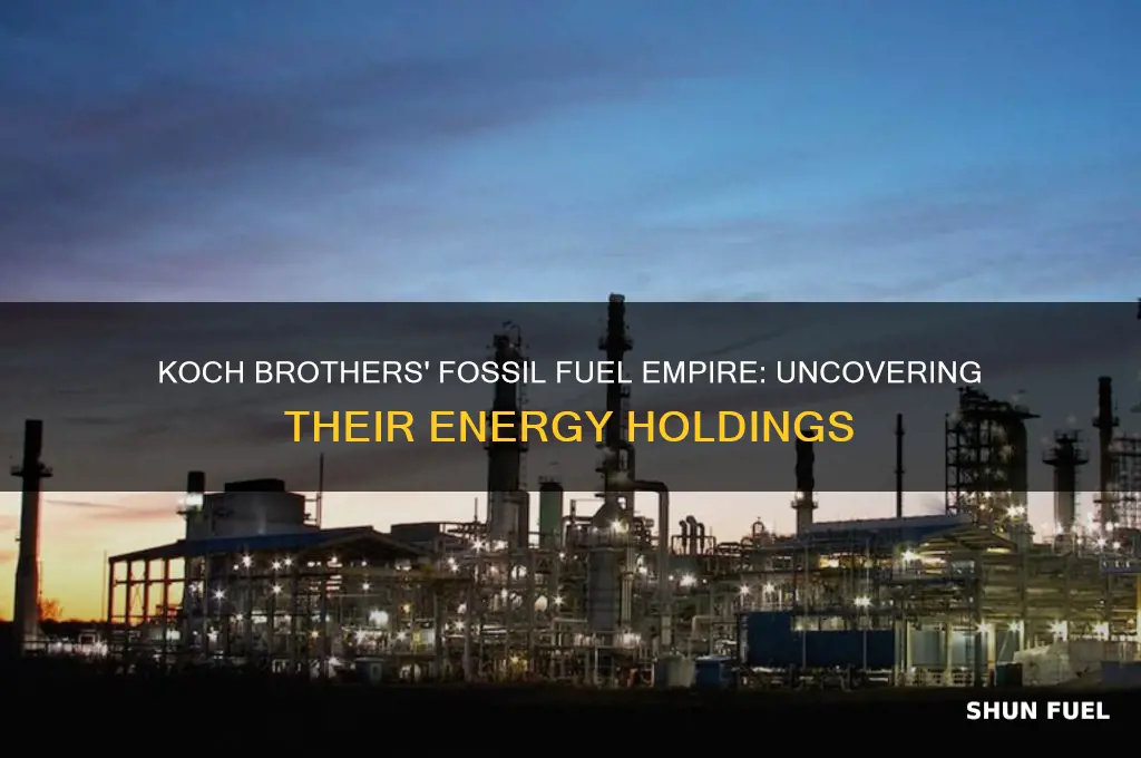 what fossil fuel companies are owned by the koch brothers