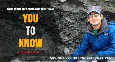 The Hidden Truth: Fossil Fuel Secrets and Environmental Impact