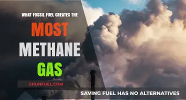 Which Fossil Fuel Produces the Highest Methane Emissions?