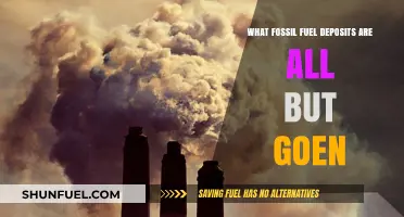 Vanishing Fossil Fuels: The Rapid Depletion of Global Energy Reserves