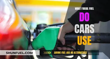 Cars' Dependence on Fossil Fuels: What's the Deal?