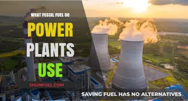 Power Plants' Fuel Choice: Which Fossil Fuel Dominates Energy Generation?