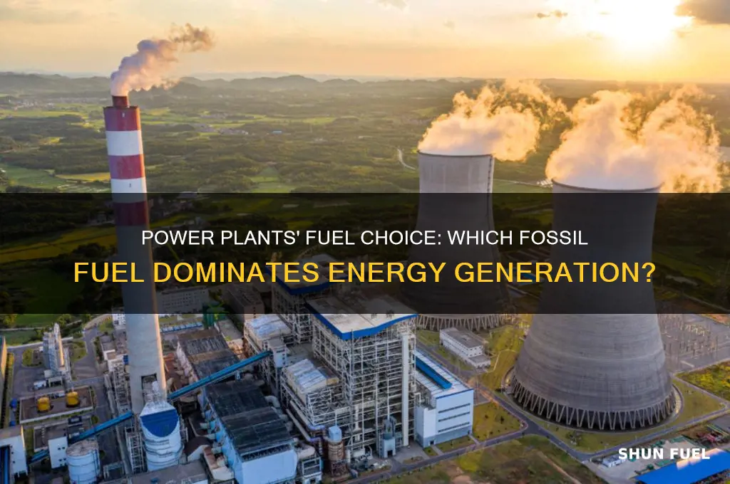 what fossil fuel do power plants use