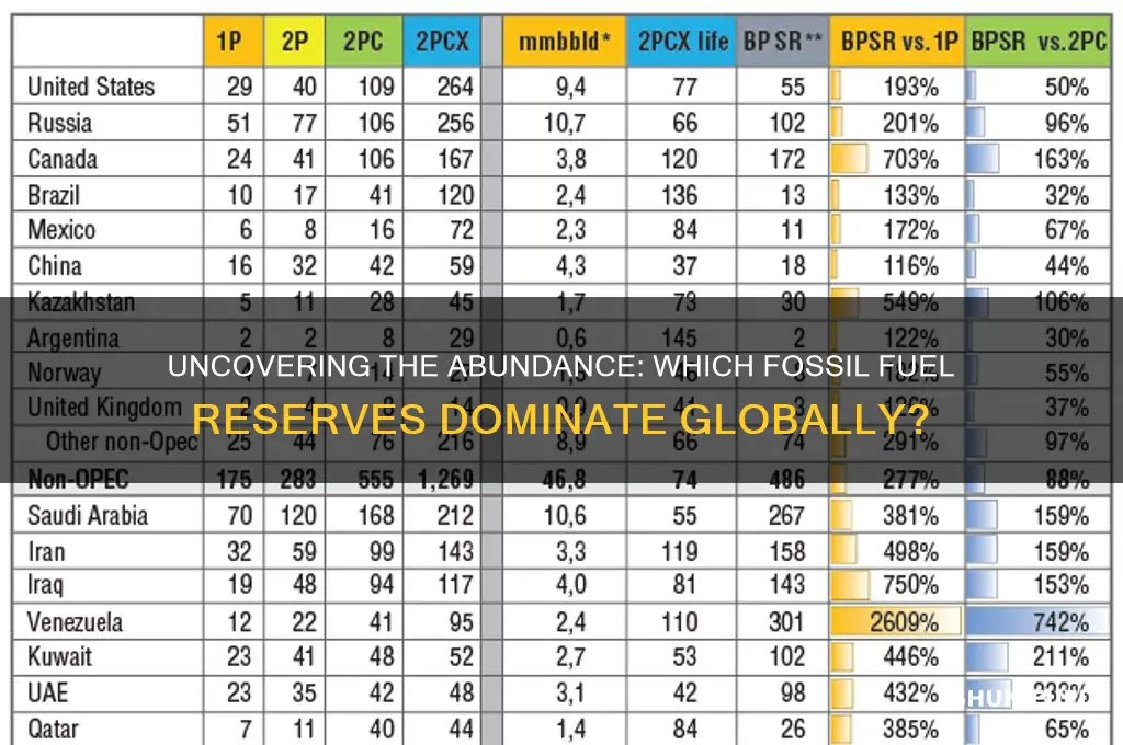 what fossil fuel do we have the most of