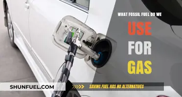 Understanding Natural Gas: The Primary Fossil Fuel Powering Our Vehicles