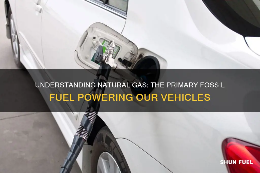 what fossil fuel do we use for gas
