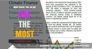 The Dominant Fossil Fuel: Unveiling Our Most Consumed Energy Source
