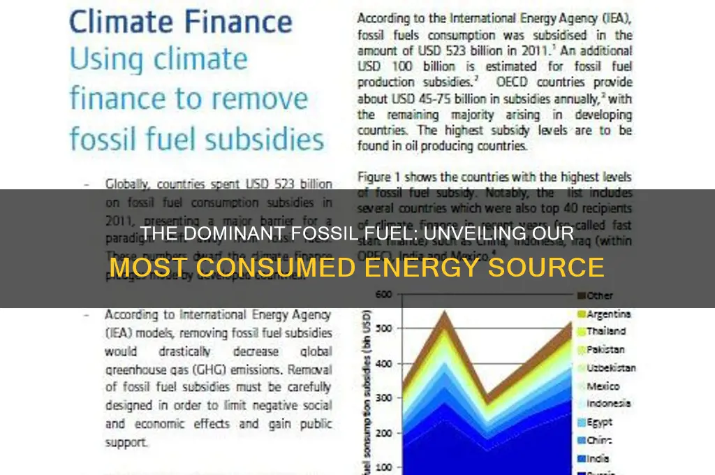 what fossil fuel do we use the most