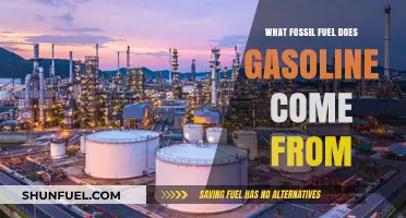 Gasoline's Fossil Fuel Origin: Uncovering the Source of Crude Oil