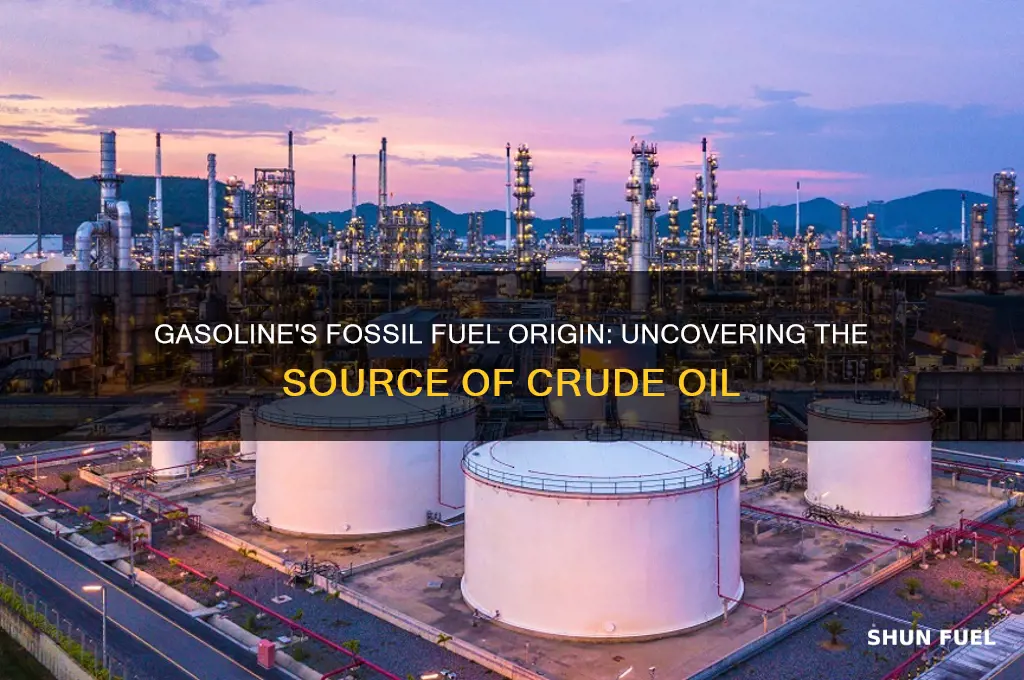 what fossil fuel does gasoline come from