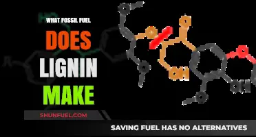 Lignin's Role in Fossil Fuel Formation: Unlocking Earth's Energy Secrets