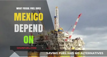 Mexico's Energy Reliance: Uncovering the Dominant Fossil Fuel Source