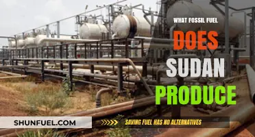 Sudan's Fossil Fuel Production: Unveiling the Country's Primary Energy Resource